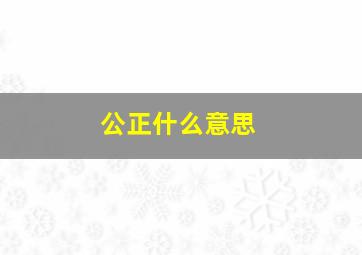 公正什么意思