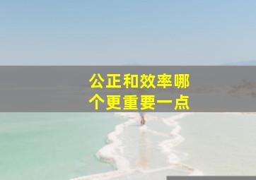 公正和效率哪个更重要一点