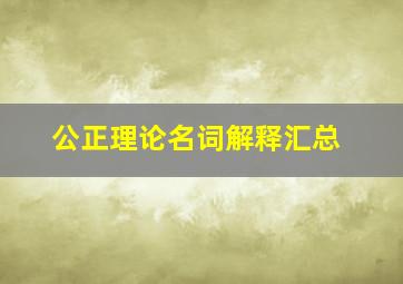 公正理论名词解释汇总