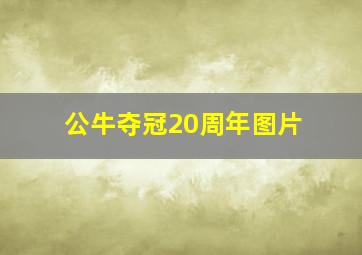 公牛夺冠20周年图片