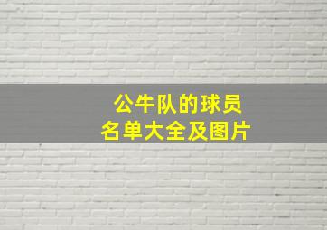 公牛队的球员名单大全及图片