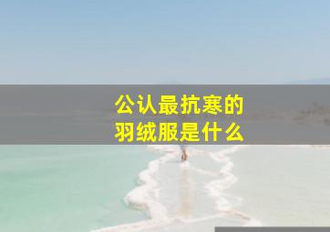 公认最抗寒的羽绒服是什么