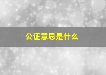 公证意思是什么