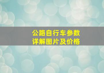 公路自行车参数详解图片及价格