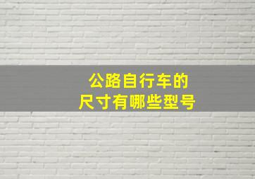 公路自行车的尺寸有哪些型号