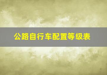 公路自行车配置等级表