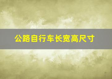 公路自行车长宽高尺寸