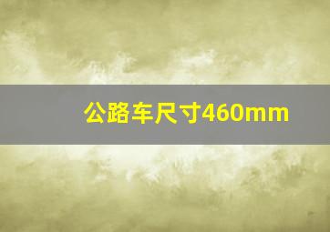 公路车尺寸460mm