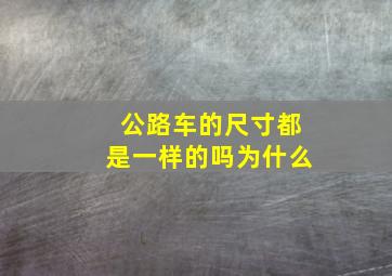 公路车的尺寸都是一样的吗为什么