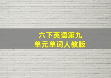 六下英语第九单元单词人教版