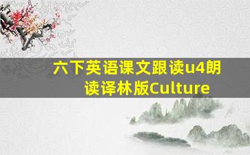 六下英语课文跟读u4朗读译林版Culture