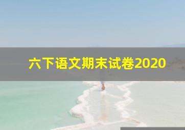 六下语文期末试卷2020