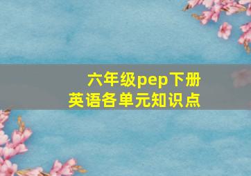 六年级pep下册英语各单元知识点