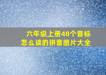 六年级上册48个音标怎么读的拼音图片大全