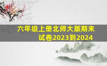 六年级上册北师大版期末试卷2023到2024