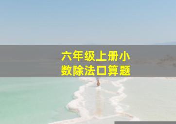 六年级上册小数除法口算题