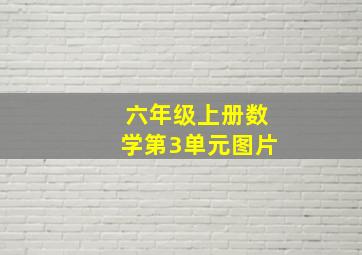 六年级上册数学第3单元图片