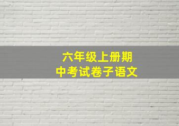 六年级上册期中考试卷子语文