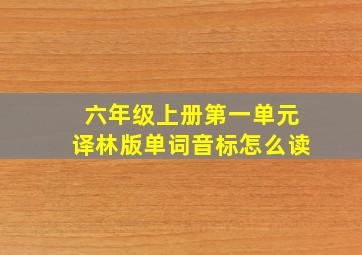 六年级上册第一单元译林版单词音标怎么读