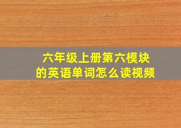 六年级上册第六模块的英语单词怎么读视频