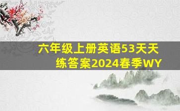 六年级上册英语53天天练答案2024春季WY