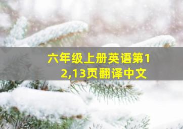 六年级上册英语第12,13页翻译中文