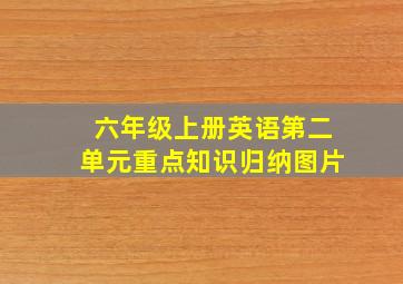 六年级上册英语第二单元重点知识归纳图片