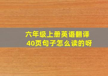 六年级上册英语翻译40页句子怎么读的呀