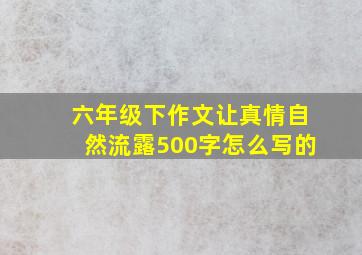 六年级下作文让真情自然流露500字怎么写的