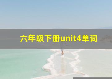 六年级下册unit4单词