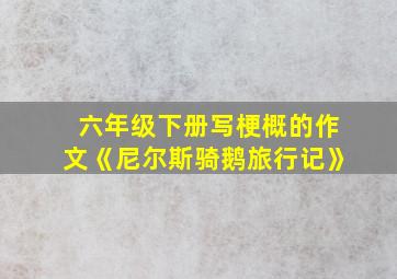 六年级下册写梗概的作文《尼尔斯骑鹅旅行记》