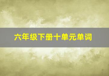 六年级下册十单元单词