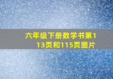 六年级下册数学书第113页和115页图片