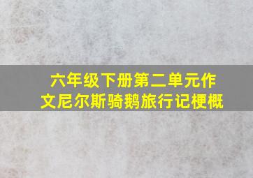 六年级下册第二单元作文尼尔斯骑鹅旅行记梗概