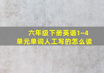 六年级下册英语1~4单元单词人工写的怎么读