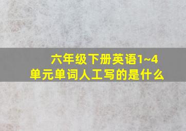 六年级下册英语1~4单元单词人工写的是什么