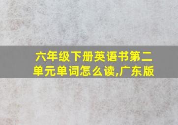 六年级下册英语书第二单元单词怎么读,广东版