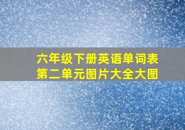 六年级下册英语单词表第二单元图片大全大图