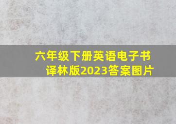 六年级下册英语电子书译林版2023答案图片