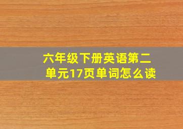 六年级下册英语第二单元17页单词怎么读