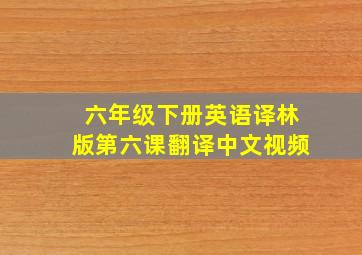 六年级下册英语译林版第六课翻译中文视频