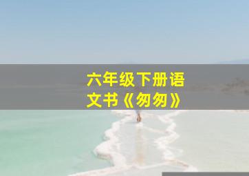 六年级下册语文书《匆匆》