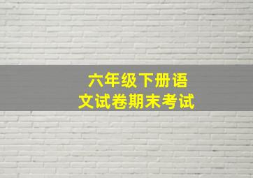 六年级下册语文试卷期末考试