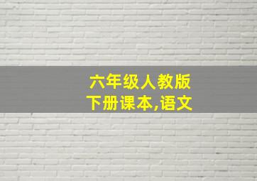 六年级人教版下册课本,语文