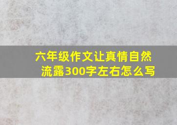 六年级作文让真情自然流露300字左右怎么写