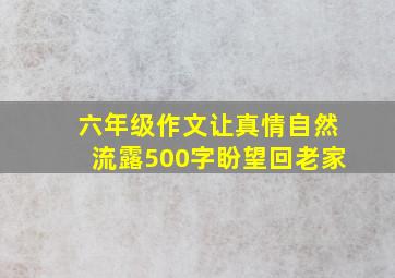 六年级作文让真情自然流露500字盼望回老家