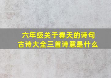 六年级关于春天的诗句古诗大全三首诗意是什么