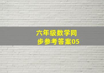 六年级数学同步参考答案05