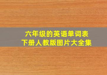 六年级的英语单词表下册人教版图片大全集