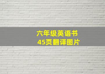 六年级英语书45页翻译图片